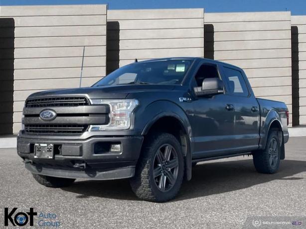 2019 FORD F-150 image 1