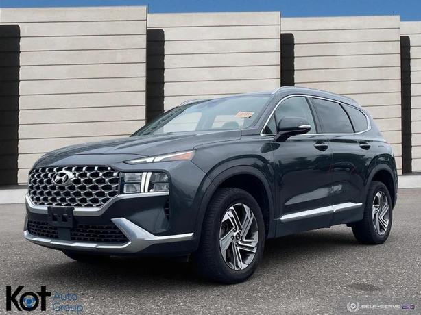 2021 HYUNDAI SANTA FE image 1