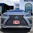 2018 Lexus NX NX 300 | No Reported Accidents! thumbnail image 2