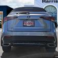2018 Lexus NX NX 300 | No Reported Accidents! thumbnail image 5