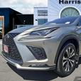 2018 Lexus NX NX 300 | No Reported Accidents! thumbnail image 8