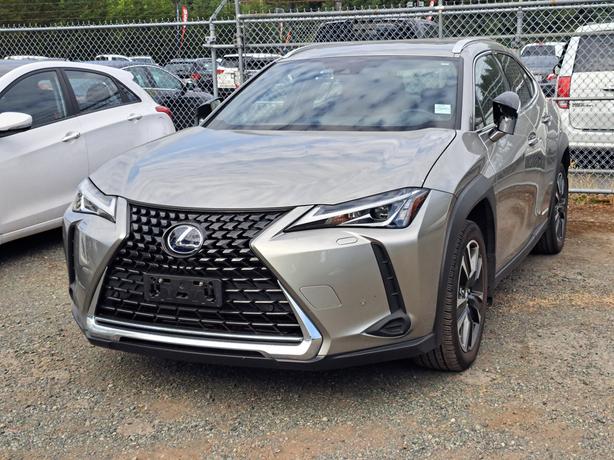 2020 Lexus UX image 1