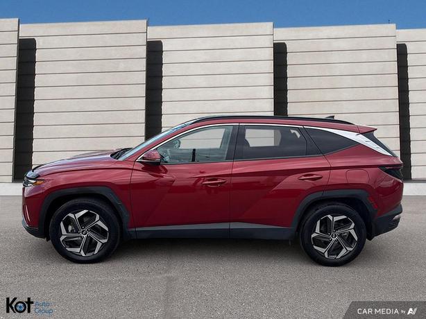 2022 Hyundai Tucson Hybrid Luxury LOW KMS! ONE OWNER! LEATHER! SUNROOF! BLINDSPO image 3