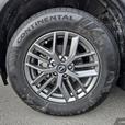 2022 Nissan Rogue AWD S | No Reported Accidents! thumbnail image 6