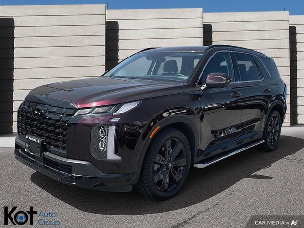 2024 Hyundai Palisade URBAN image 1