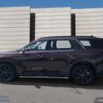 2024 Hyundai Palisade URBAN thumbnail image 3