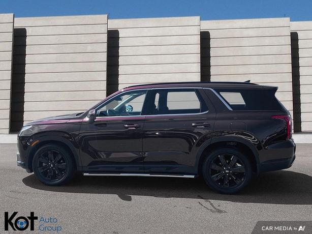 2024 Hyundai Palisade URBAN image 3