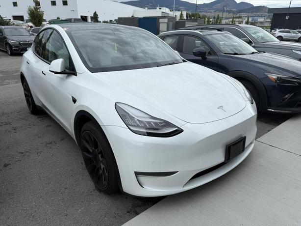 2021 Tesla Model Y LONG RANGE image 1