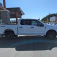 2023 Ford F-150 XLT - 5.0L V8, 4x4, SuperCrew, Short Box thumbnail image 5