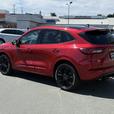 2023 Ford Escape ST-Line Elite AWD - Memory Seat & Panoramic Roof thumbnail image 8