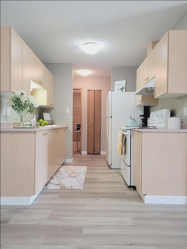 2 Bedroom Mainstreet on Fort Saskatchewan image 5