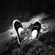 user_2416426 profile image