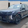 2024 Hyundai Palisade URBAN thumbnail image
