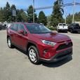 2020 Toyota RAV4 Hybrid Xle thumbnail image 7