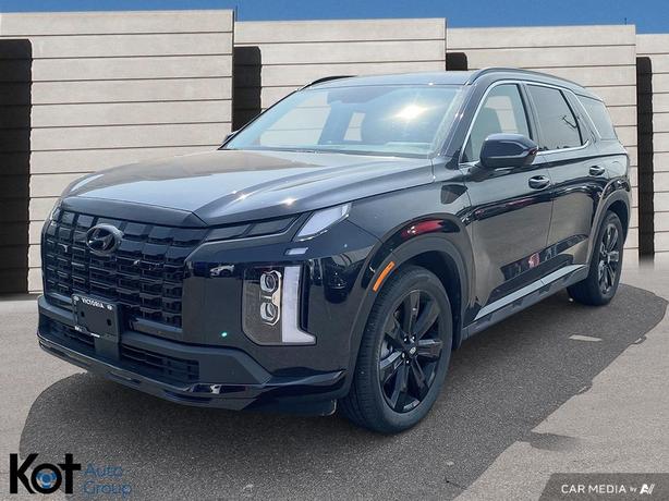 2024 Hyundai Palisade URBAN image 1