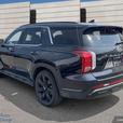 2024 Hyundai Palisade URBAN thumbnail image 4