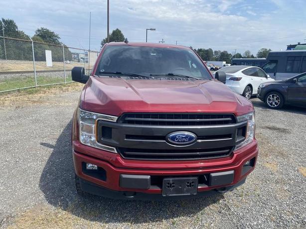 2019 Ford F-150 FX4  5.5-ft. Bed 4WD image 5