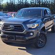 2020 Toyota Tacoma V6 thumbnail image