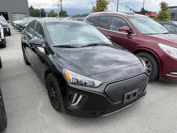 2020 Hyundai IONIQ Electric ULTIMATE image 1