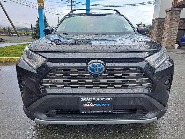 2020 Toyota RAV4 Hybrid Limited - Nav, Heated Seats, Heated Wheel image 3