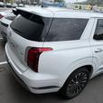 2025 Hyundai Palisade ULTIMATE CALLIGRAPHY thumbnail image 3