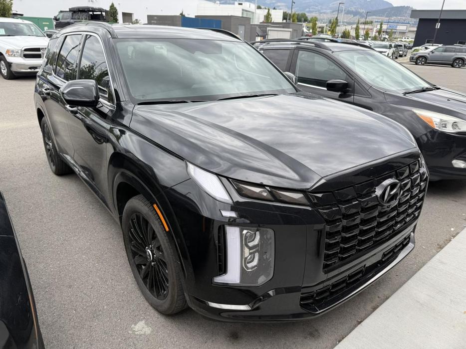 2025 Hyundai Palisade ULTIMATE CALLIGRAPHY NIGHT display photo