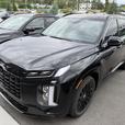 2025 Hyundai Palisade ULTIMATE CALLIGRAPHY NIGHT thumbnail image 2