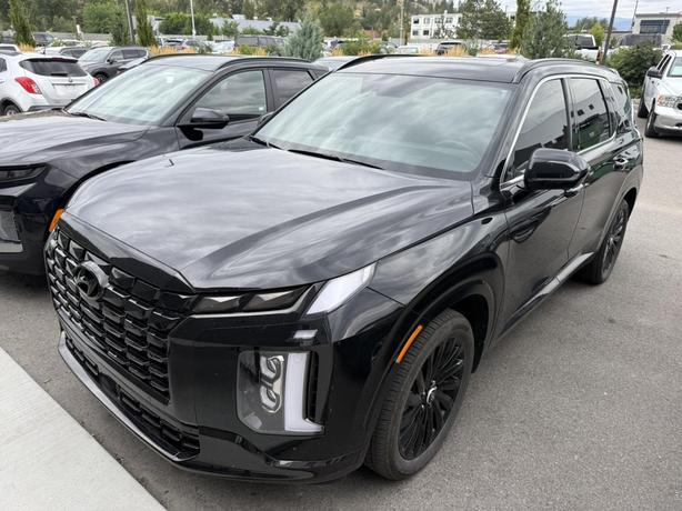 2025 Hyundai Palisade ULTIMATE CALLIGRAPHY NIGHT image 2