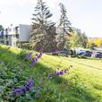 2 bedroom Bonaventure Apartments thumbnail image 2