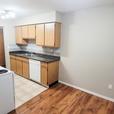 1 bedroom Sunshine Apartments thumbnail image 5