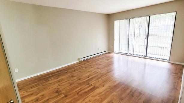 2 bedroom Sunshine Apartments image 3