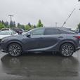 2024 Lexus RX RX 350h Auto Sport Utility | One Owner | No Reported Accidents! thumbnail image 3