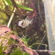 MrGawensFishTanks profile image
