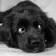 user_2429928 profile image
