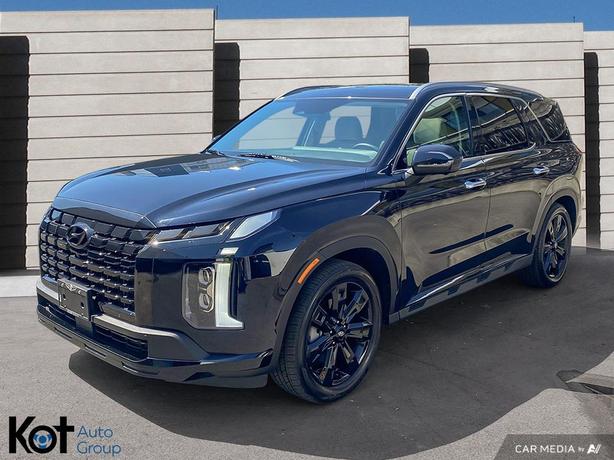 2023 Hyundai Palisade URBAN image 1