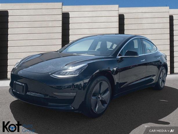 2019 Tesla Model 3 STANDARD RANGE image 1