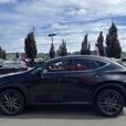 2022 Lexus NX 350h thumbnail image 4