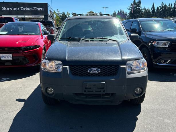 2005 Ford Escape 4dr XLT Auto 4WD | Cruise Control | Keyless Entry! image 3