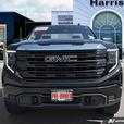 2023 GMC Sierra 1500 4WD Reg Cab 126 Pro | One Owner | No Reported Accidents thumbnail image 2