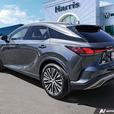 2024 Lexus RX RX 350h Auto Sport Utility | One Owner | No Reported Accidents! thumbnail image 4