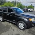 2008 Ford  Escape XLT thumbnail image