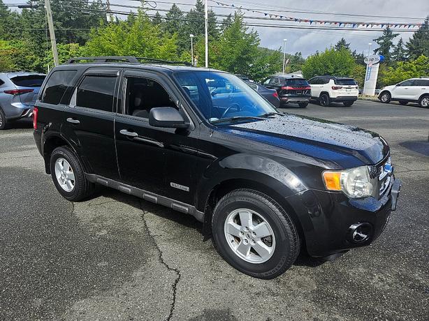 2008 Ford  Escape XLT image 1