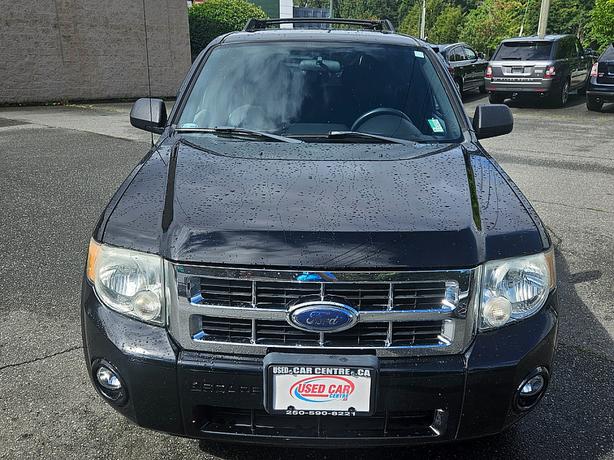2008 Ford  Escape XLT image 3