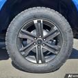2022 Ford F-150 4WD Standard Pickup | Tow Hooks | Low Km's! thumbnail image 6