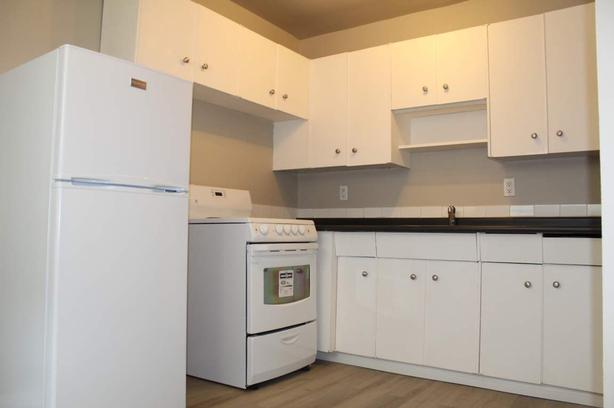 1 bedroom Alexander Apartments image 5