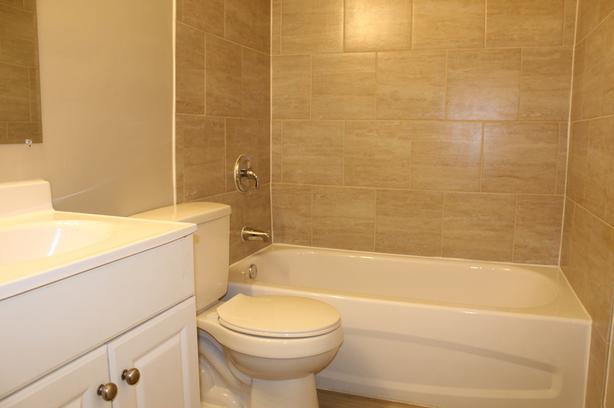 1 bedroom Alexander Apartments image 6
