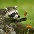 user_2444166 profile image