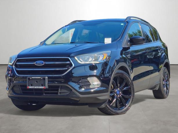 2017 Ford Escape FWD 4dr SE image 1