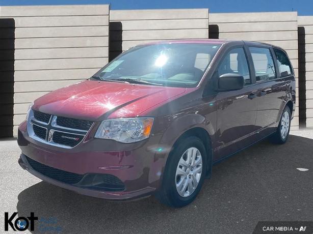 2019 DODGE GRAND CARAVAN image 1