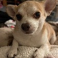user_2446369 profile image
